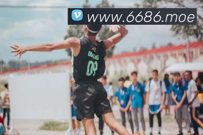 6686平台生态图